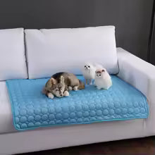 Casaly CoolPad Pro™